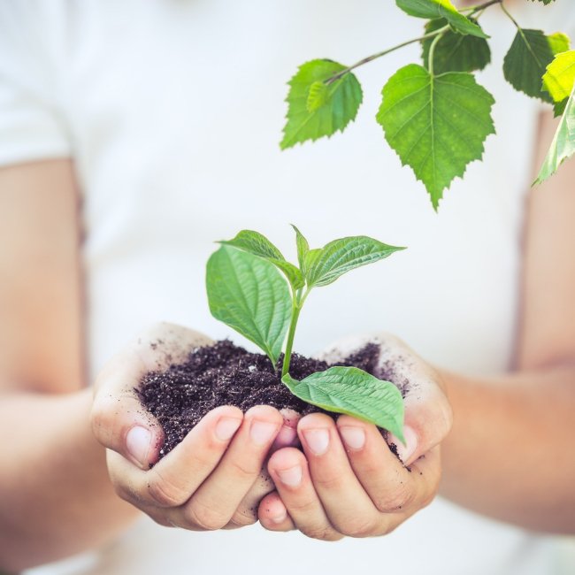 Simple Tips to Make Your World Greener